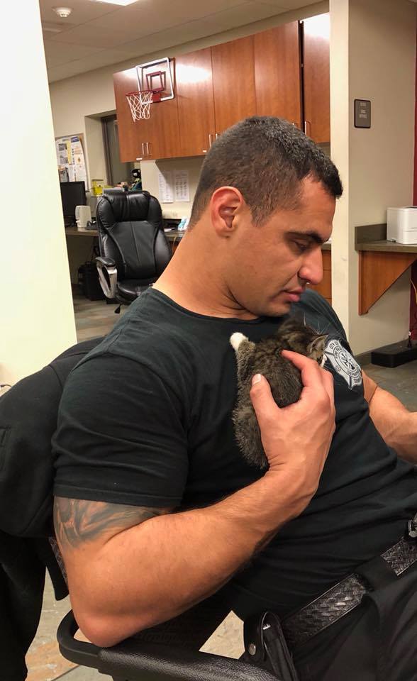 Firefighter & kitten