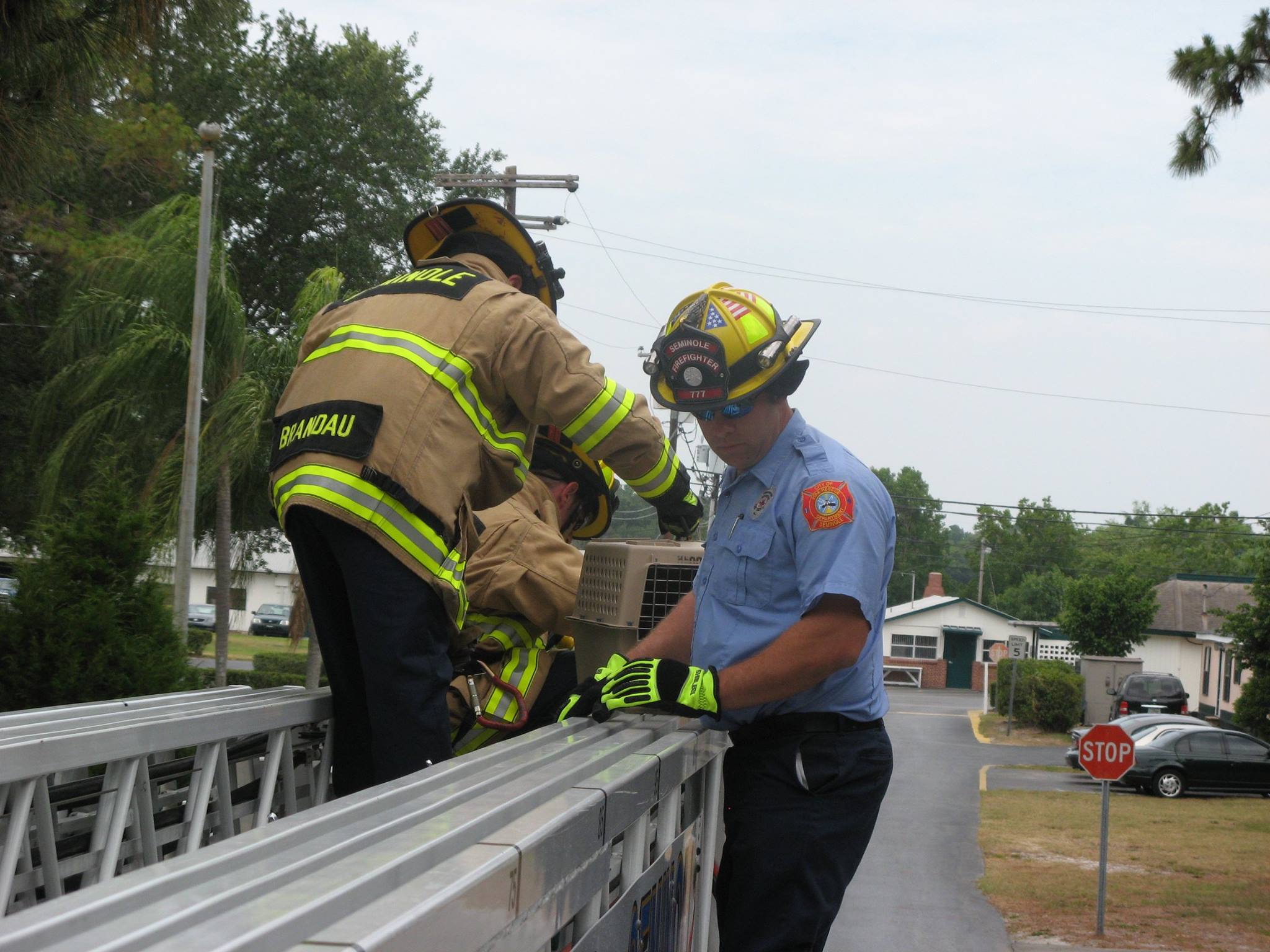 Fire truck, crew and pet carrier