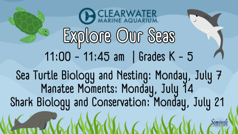 Explorer our Seas